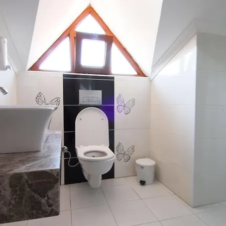 Hotel Lidya 3*