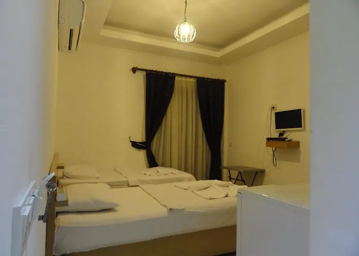 Lidya 호텔 페티예