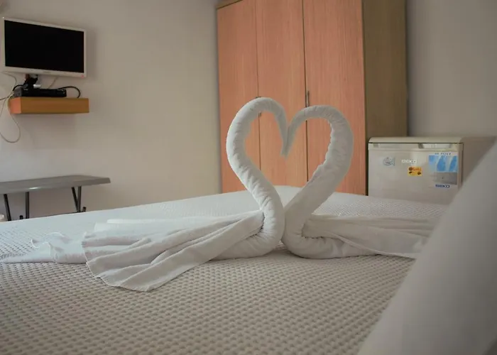 호텔 Lidya 페티예